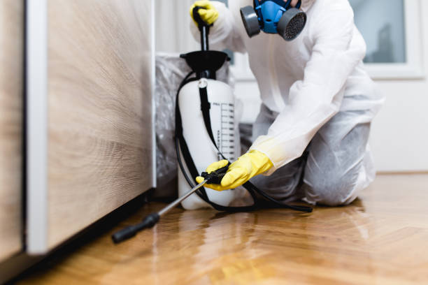 Best Pest Control for Businesses  in Spotsylnia Courthouse, VA