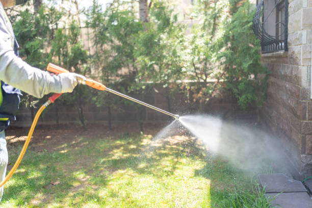 Best Flea Control Services  in Spotsylnia Courthouse, VA