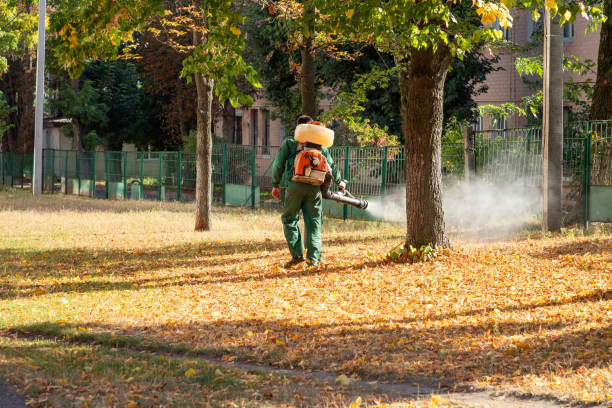 Trusted Spotsylvania Courthouse, VA Pest Control Experts